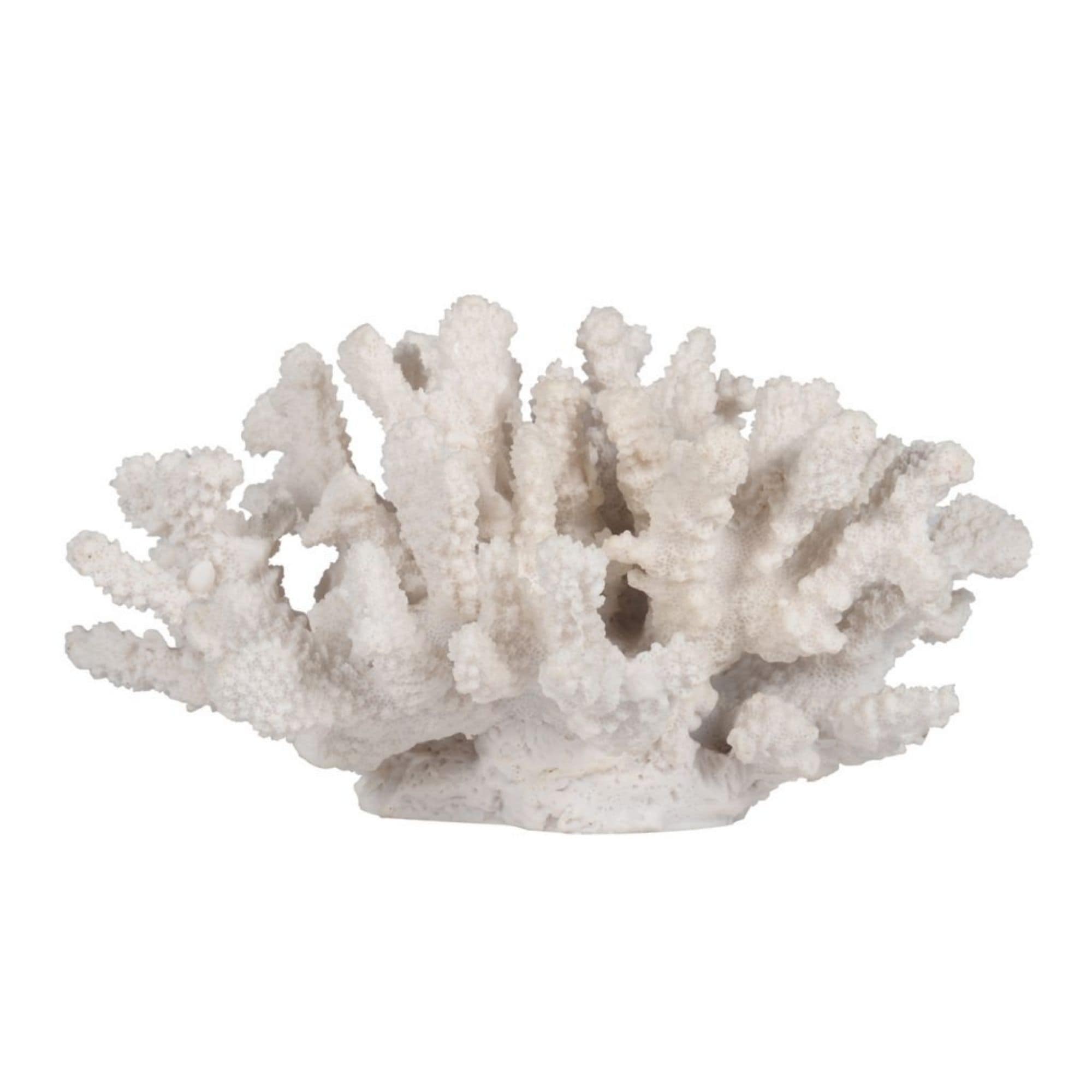 8.25 White Faux Coral Sculpture Decor - Bed Bath & Beyond - 29239392