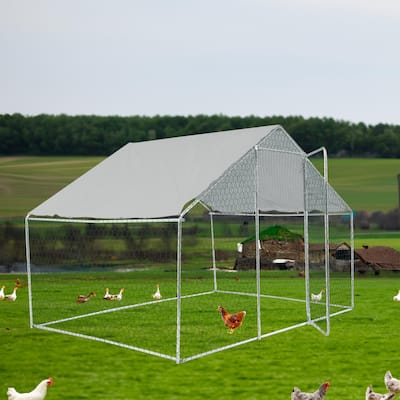 Outdoor chicken coop metal big space 10*6*6FT
