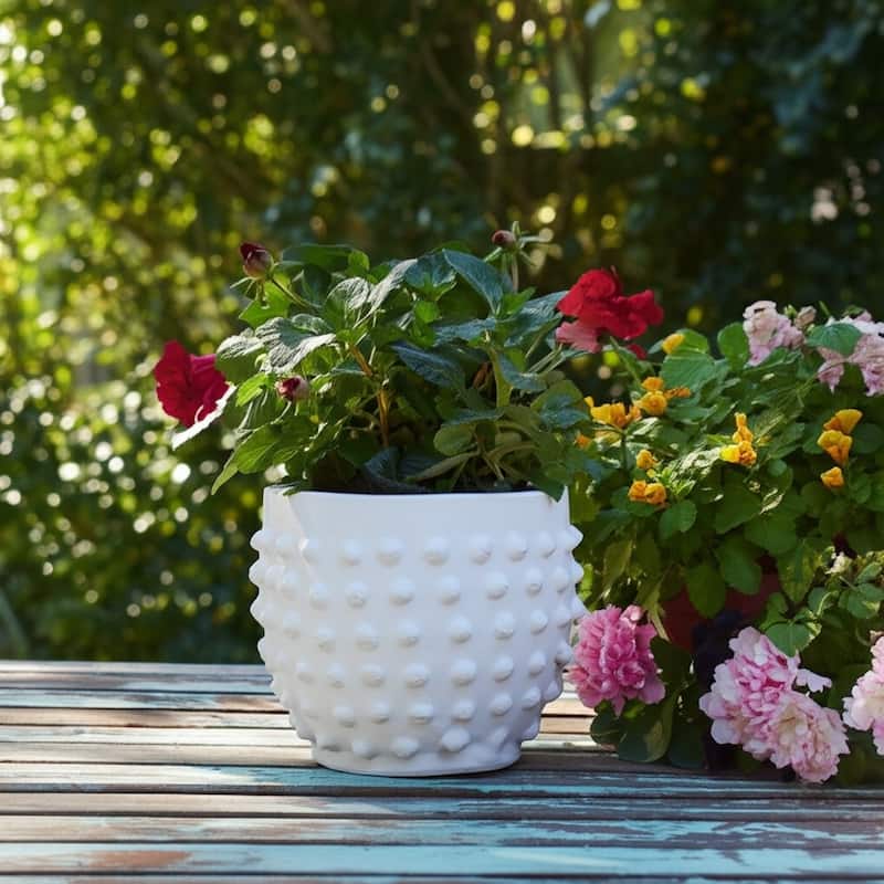 Terracotta Planter Raised Dot Texture for Home Garden Use - 6" White - 8" x 8" x 6"