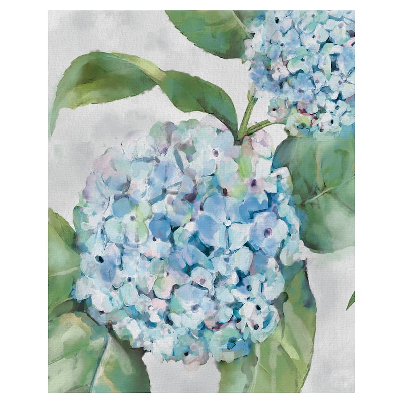 Hydrangea Portraits I by Studio Arts Canvas Art Print