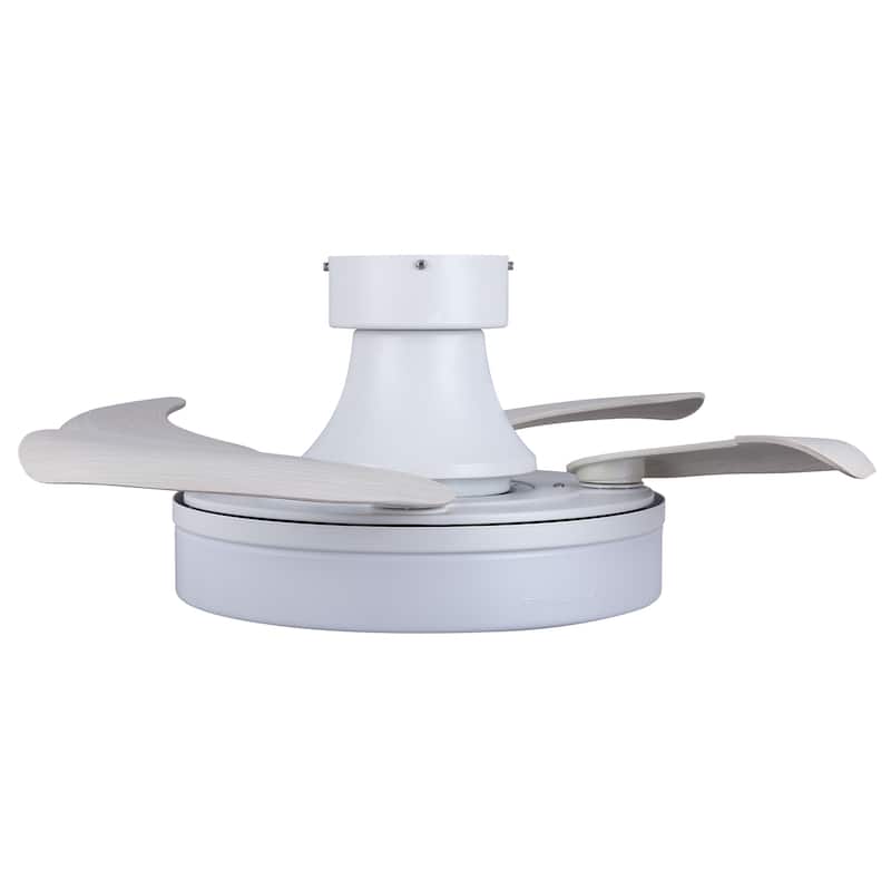 Fanaway Orbit 36-inch Ceiling Fan with Light