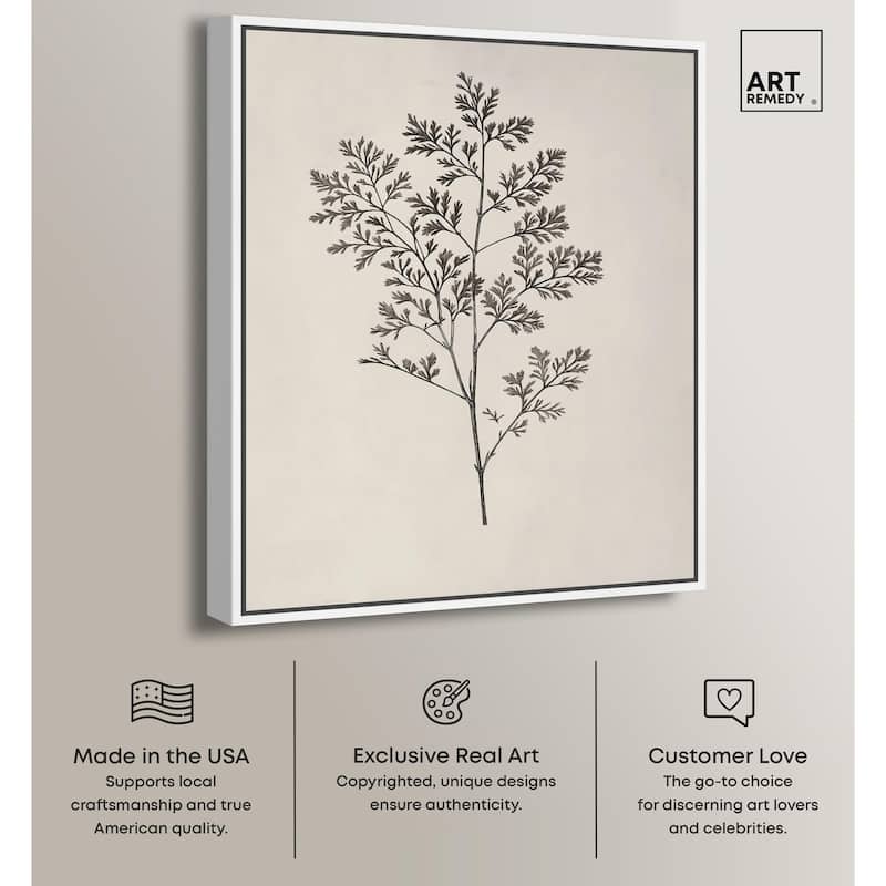 Aniseed Anatomy II Canvas Delicate Floral by Art Remedy