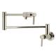 Option Polished Nickel