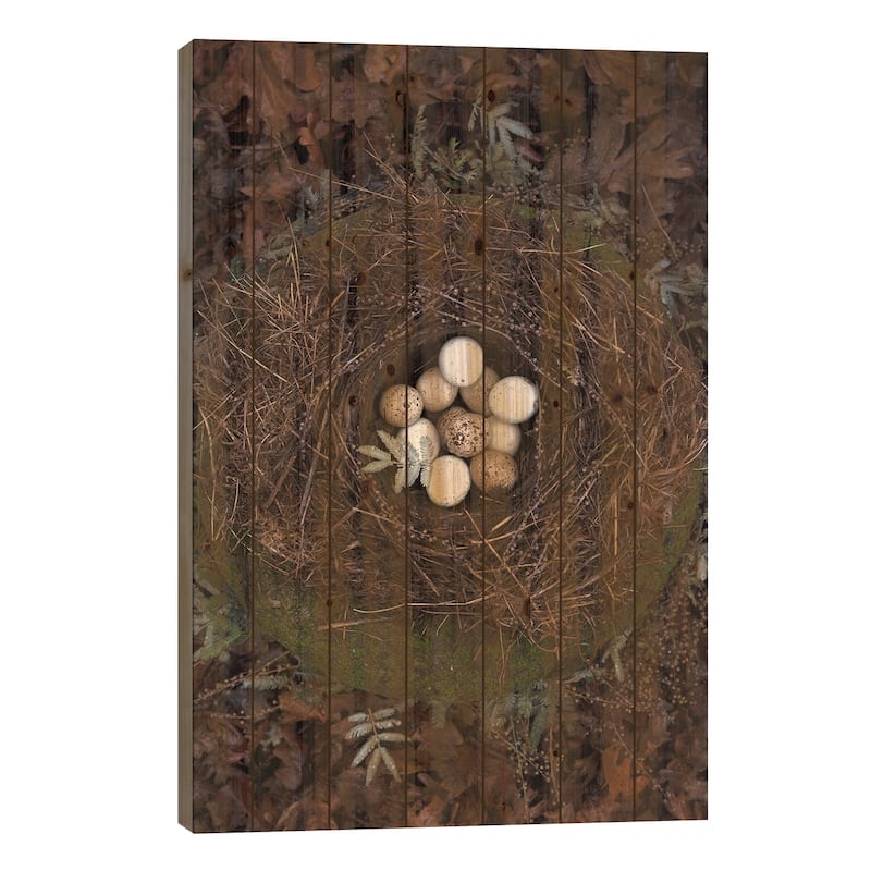 Winter Nest Detail II Print On Wood by Tania Soderman - Multi-Color - 40x26x1.5