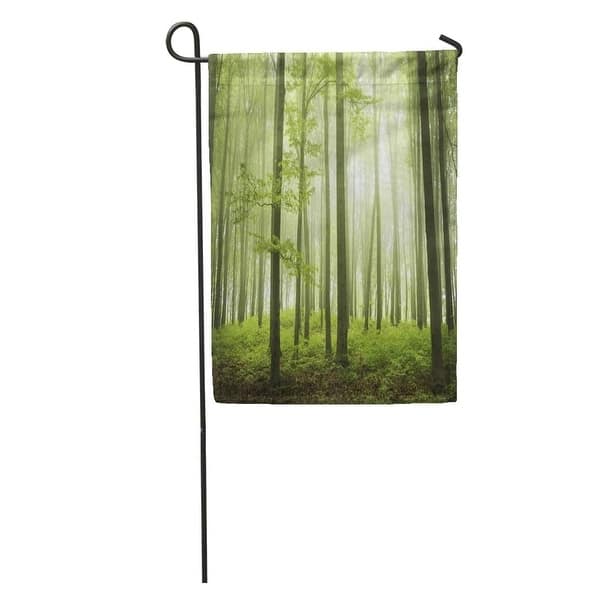 Brown Tree Trail In Foggy Forest During Spring Green Into The Mist Orange Enchanted Garden Flag Decorative Flag House N A On Sale Overstock 31405146