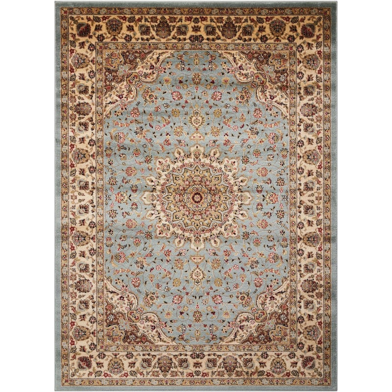 Nourison Delano Traditional Persian Medallion Border Area Rug