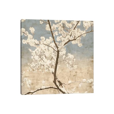 iCanvas "Cherry Blossoms I" by John Seba Canvas Print