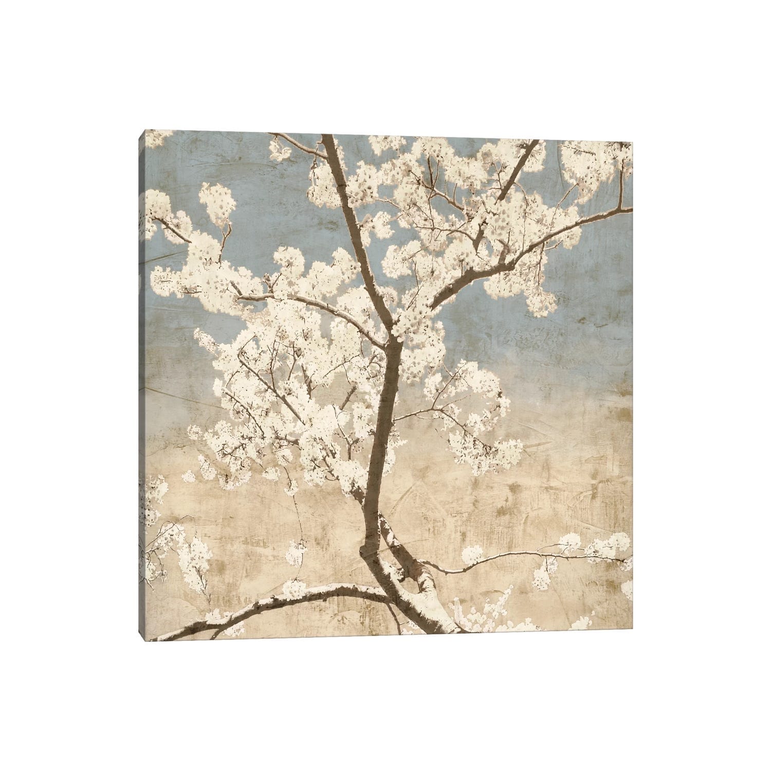 iCanvas "Cherry Blossoms I" by John Seba Canvas Print