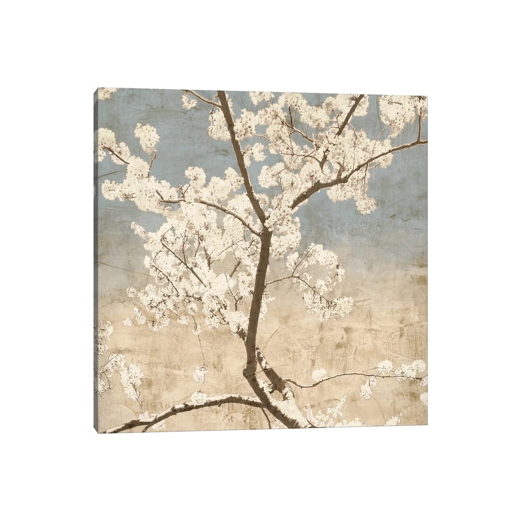 iCanvas "Cherry Blossoms I" by John Seba Canvas Print