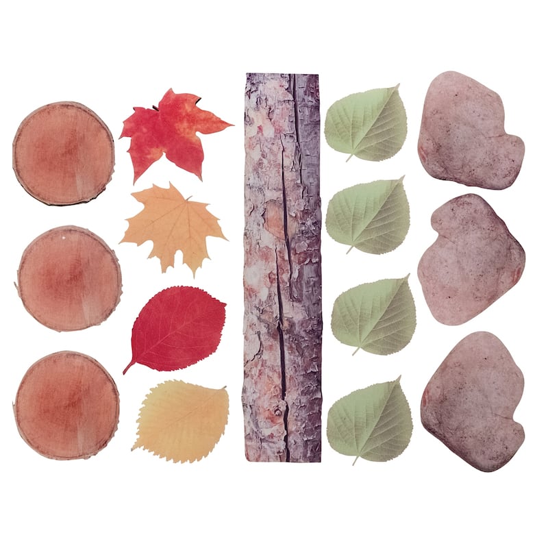 The Freckled Frog Nature's Footsteps - Set of 15 - N/A