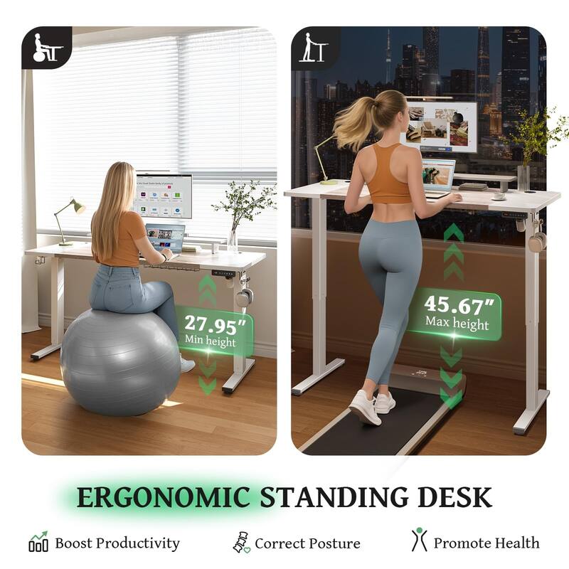SIAGO 48 x 24 Inch Computer Desk Height Adjustable Electric Sit Stand Up Desk