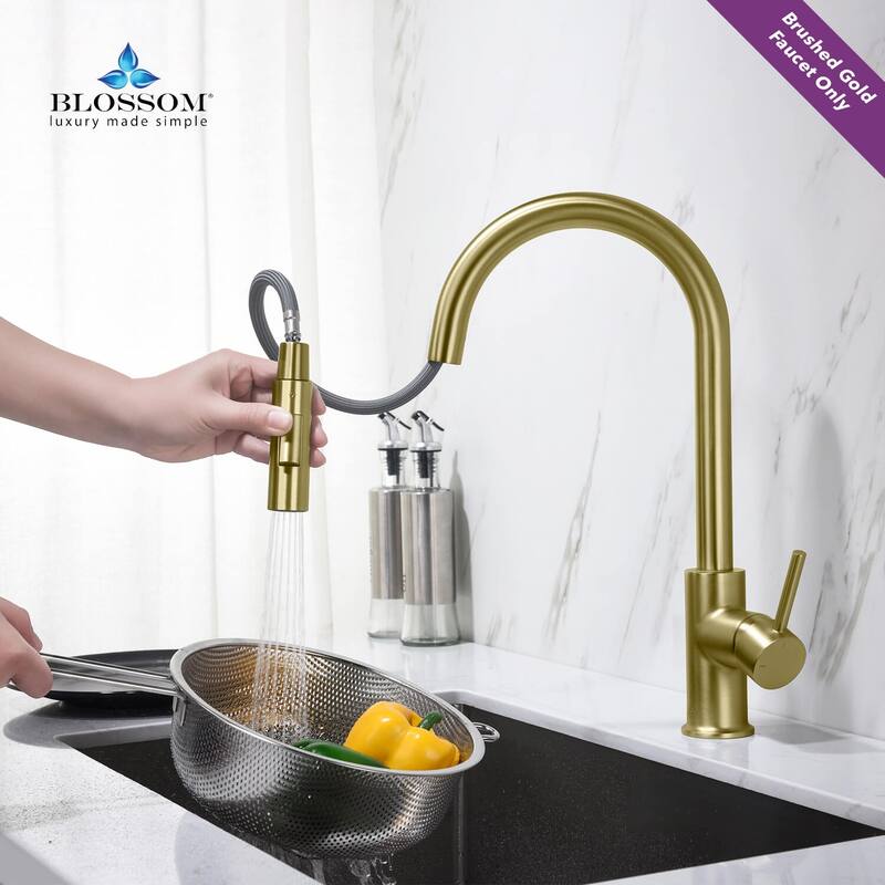 Blossom Solid Pull-Down Kitchen Faucet w/ 360 Swivel, Single Handle