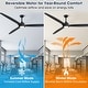 preview thumbnail 9 of 15, 80" Black Modern Large Solid Wood 6-Speed Dimmable Ceiling Fan with Light Remote