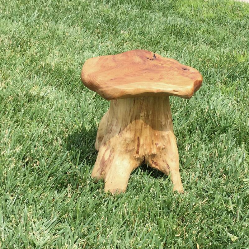 Greenage Cedar Roots Naturally Shaped Mushroom Side Table Stand