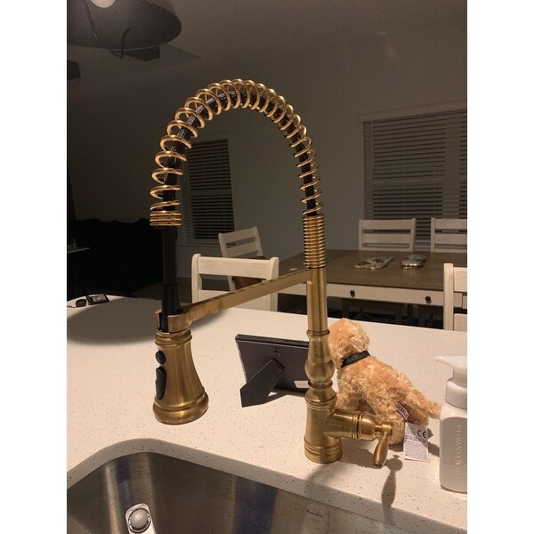 Moen One Handle Pre Rinse Spring Pulldown Kitchen Faucet Brushed Gold S73104bg Overstock 31312628