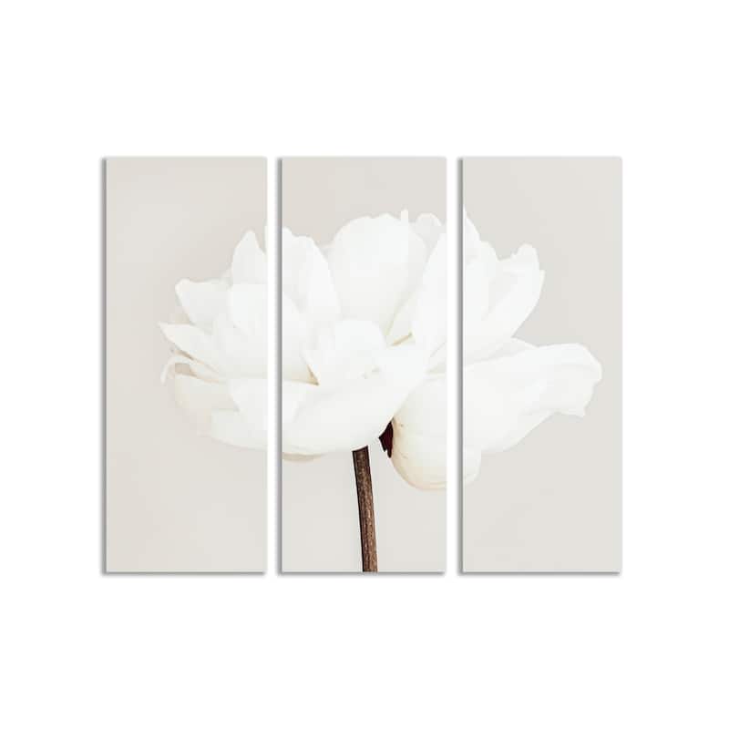 "Peony 11" Framed 3-Piece Wall Art Set by 1X