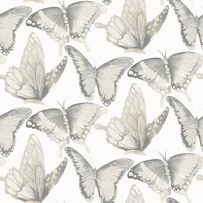 Janetta Grey Butterfly Wallpaper
