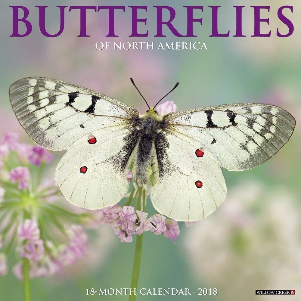 Shop Butterflies Wall Calendar Butterfly Insects By Willow