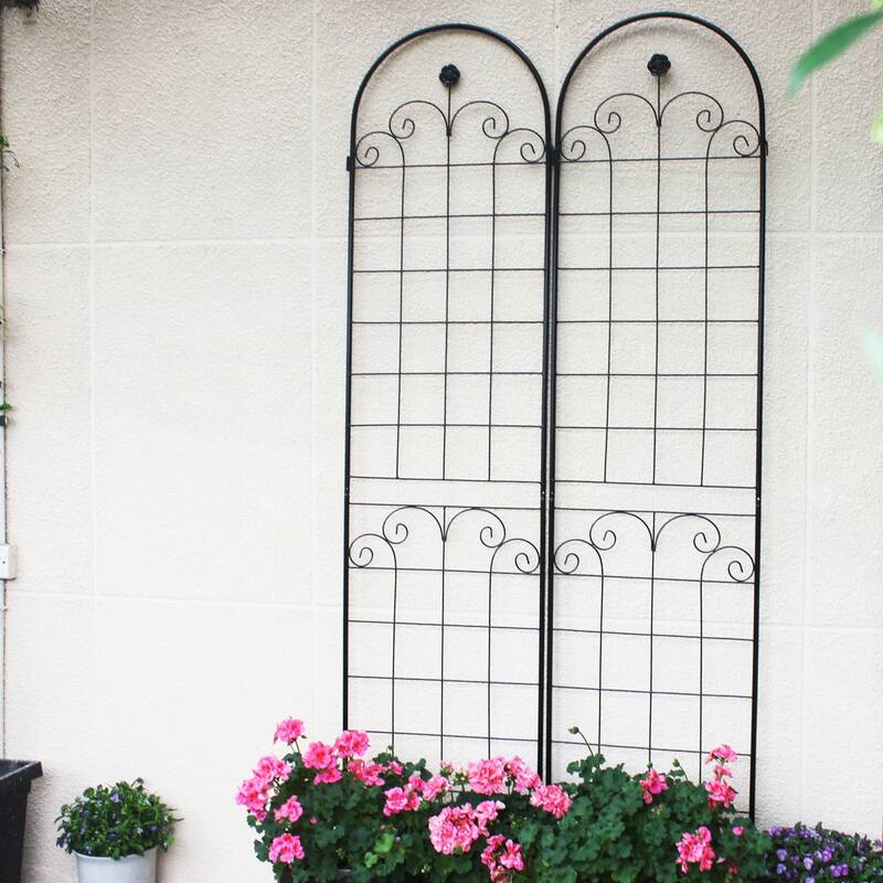 2 Pack Metal Garden Trellis for Climbing Plants