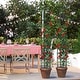 preview thumbnail 10 of 8, Gymax 2-Pack Garden Obelisk Trellis for Climbing Plants Rustproof