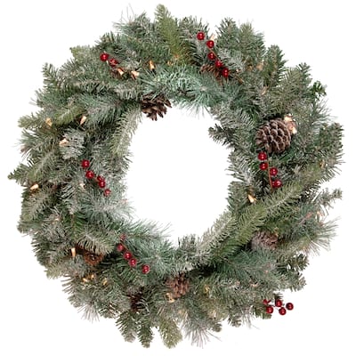 Pre-Lit Snowy Waterloo Pine Artificial Christmas Wreath - 24-Inch Clear Lights - 24"