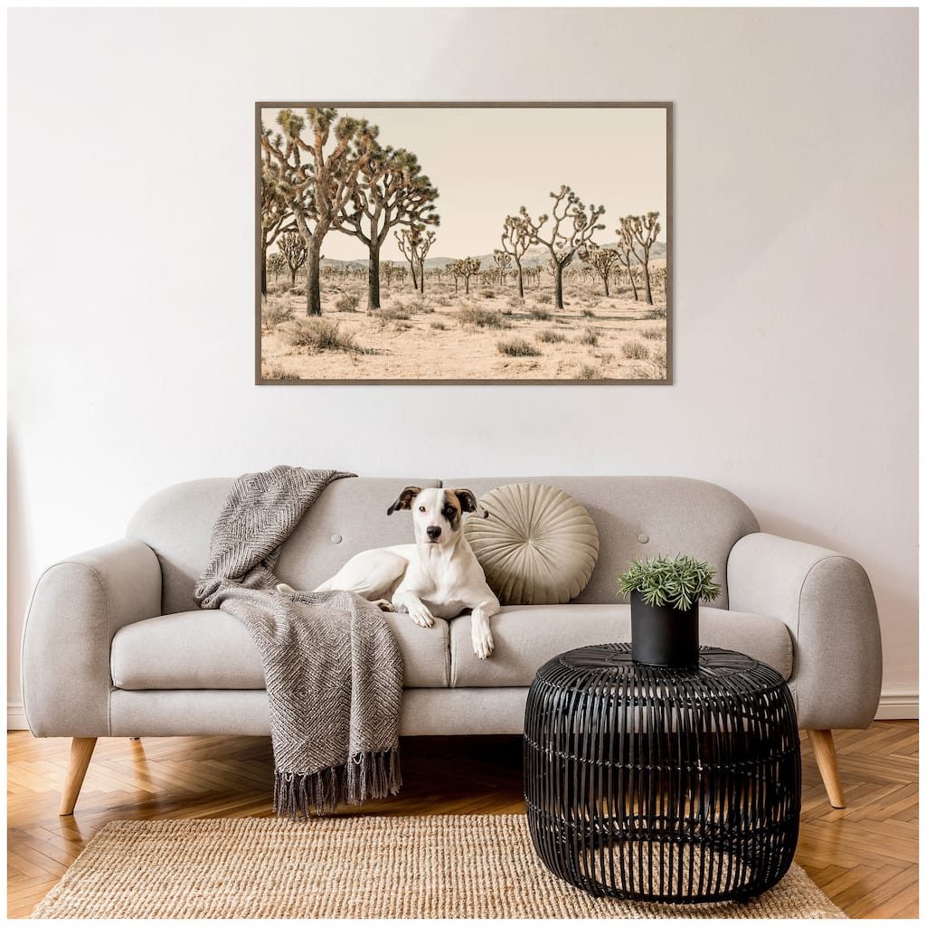Kate and Laurel Joshua Tree No. 2 by Alicia Bock Framed Canvas Wall Art Print