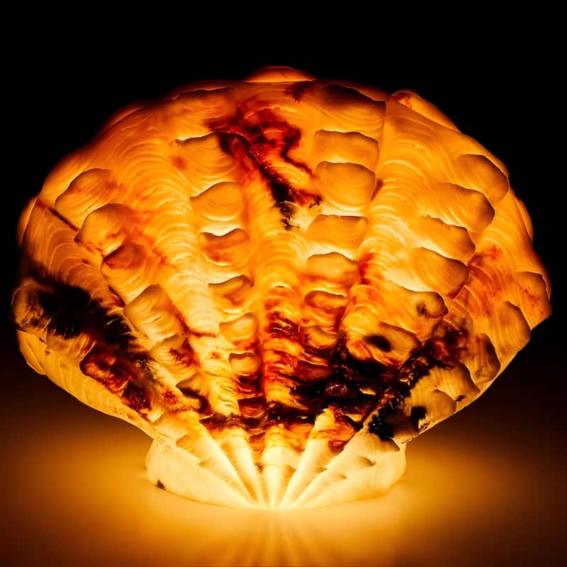 Aria Home Scallop Shell Table Lamp Sculpted Sandstone coastal accent - Brown
