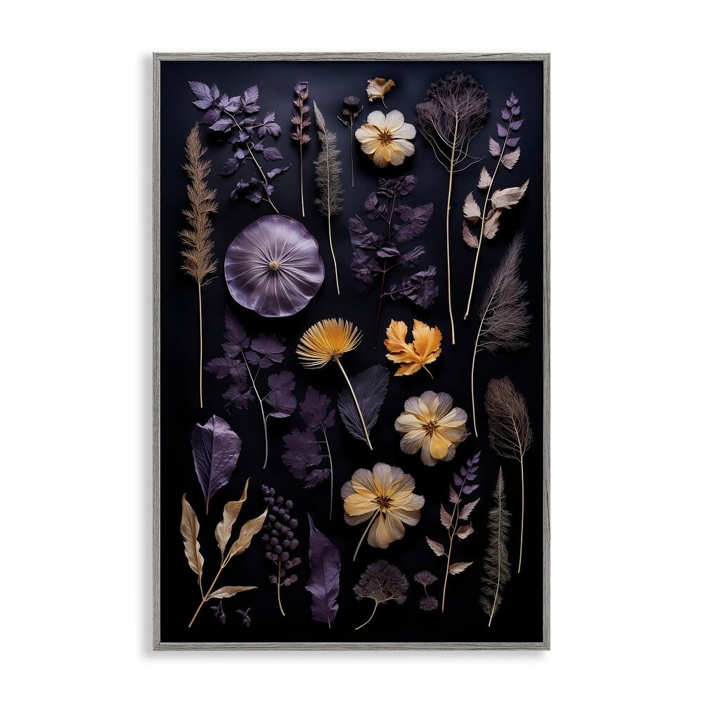 Stupell Flower Specimens on Black Framed Giclee Art Design By Heidi Kuntz