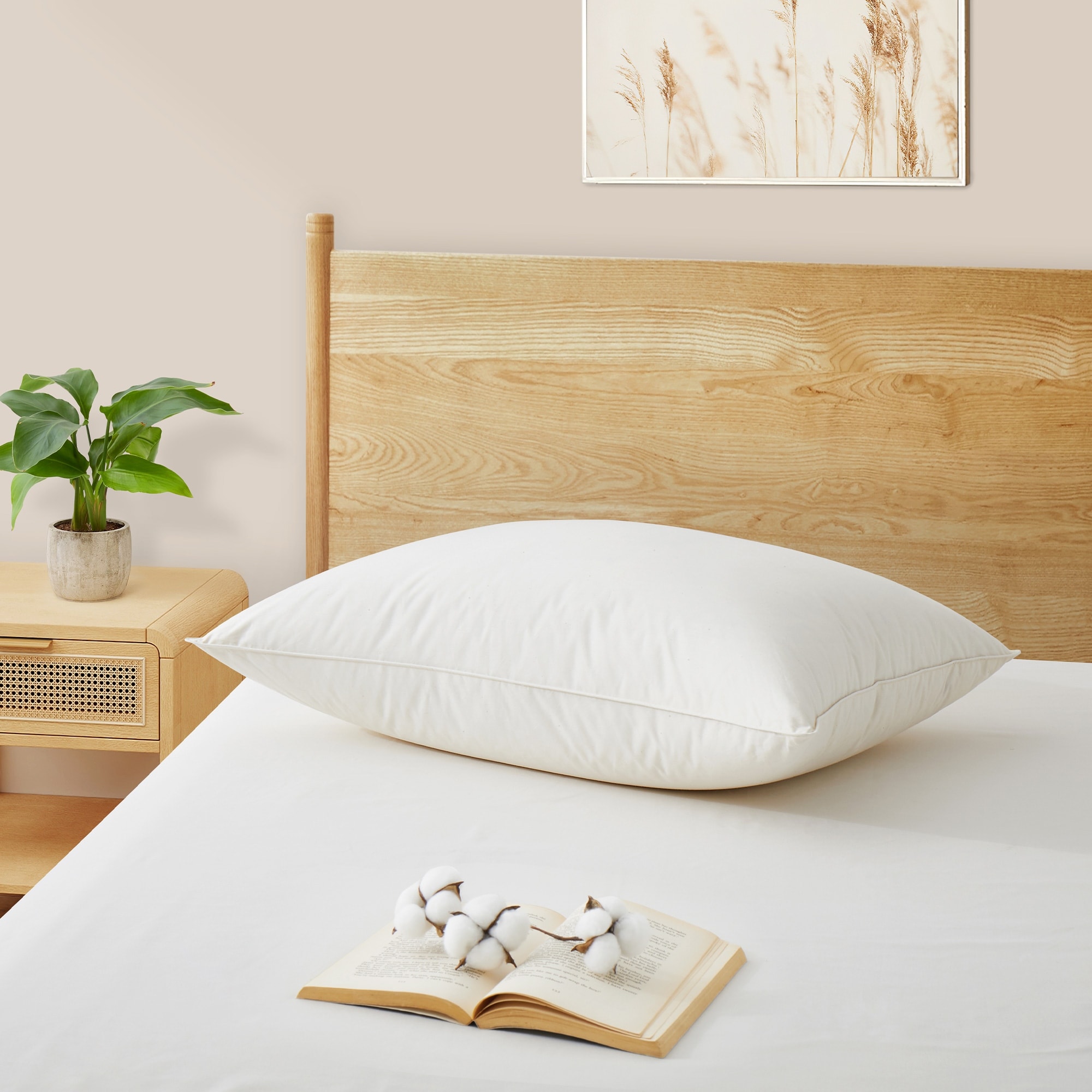 Luxury Natural 100% Organic Down Cotton Bed Pillows (Single Pack) - White