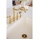 preview thumbnail 18 of 36, Heritage Bridge Kitchen Faucet with Brass Sprayer Polished Brass