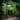 Solar Landscape Pathway Lights LED Outdoor Waterproof Dusk to Dawn Driveway Lights