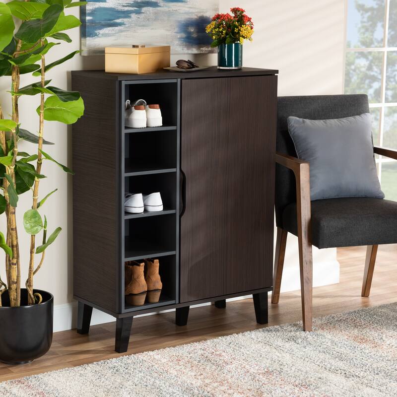 Idina Mid-Century Modern Two-Tone 1-Door Shoe Cabinet