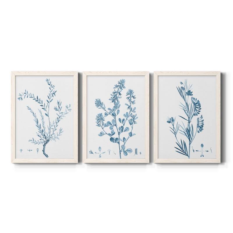 Antique Botanical in Blue VII-Premium Framed Canvas - Ready to Hang - Multi-Color - 18X24 - White