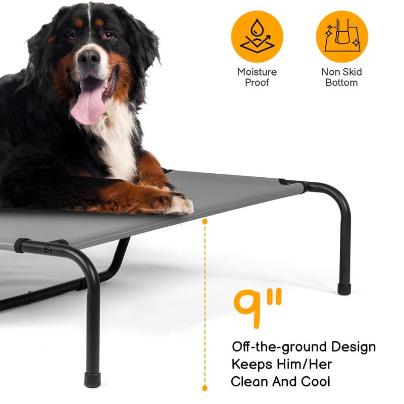 60 in. x 37 in. Iron Frame Gray Mesh Surface Outdoor Dog Cot - 60 in. x 37 in. x 9 in.