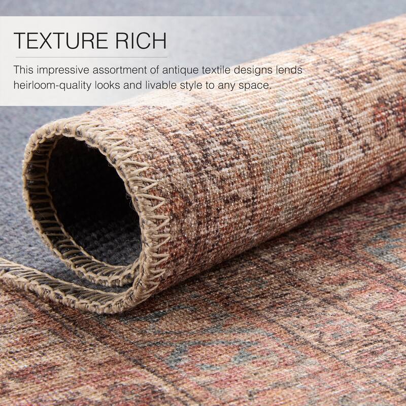 Vacherie Machine Washable Medallion Area Rug