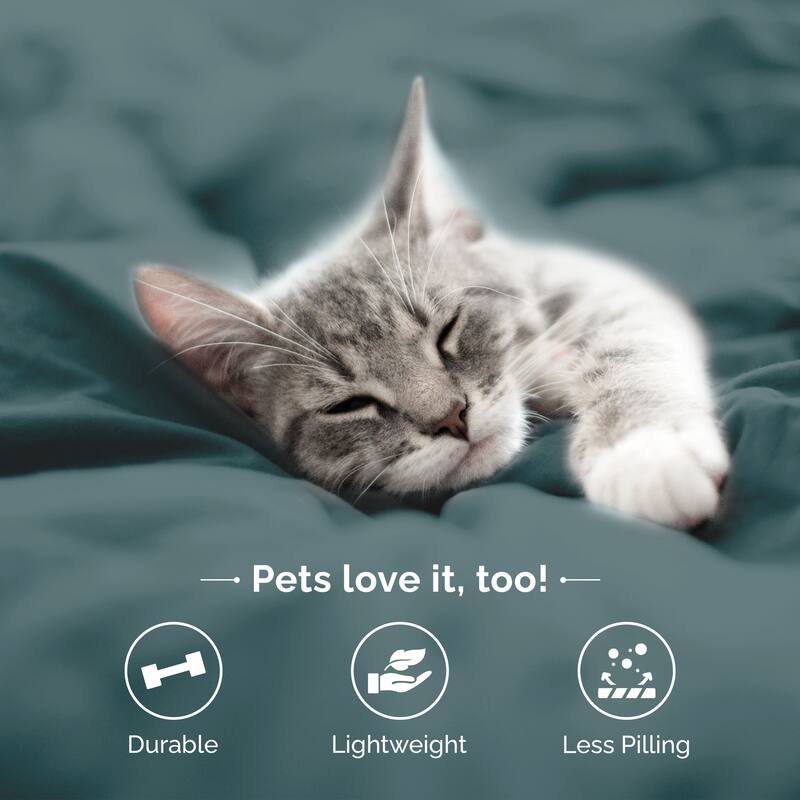 Martex Microfiber Sheet Set Durable Lightweight Easy Care