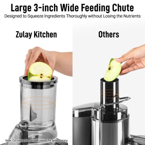 Masticating Juicer Machine with High Yield, Quiet Motor, Reverse Function Celery Juicer Carrot Juicer with Wide Chute - Bed Bath & Beyond
