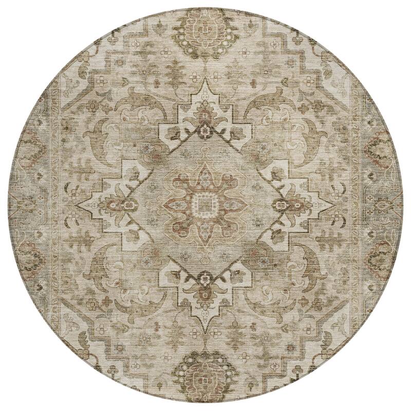 Machine Washable Indoor/Outdoor Traditional Vintage Chantille Rug