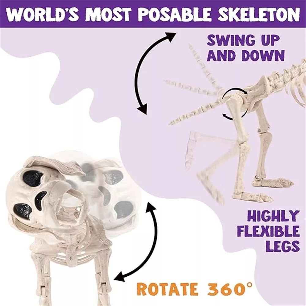 Halloween Posable Dog Skeleton, 9.8" X 4.7" X 12.6"