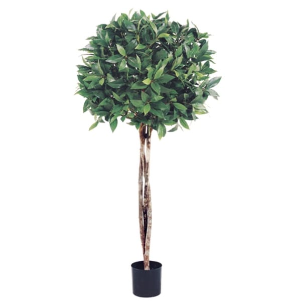 Set of 2 Potted Artificial Bay Leaf Ball Topiaries 3' - 3-to-6-feet