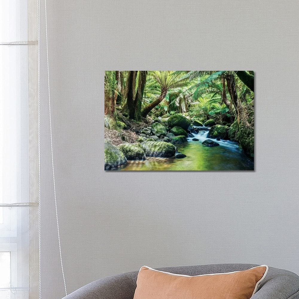 iCanvas "River In The Tasmanian Rainforest" by Matteo Colombo Canvas Print