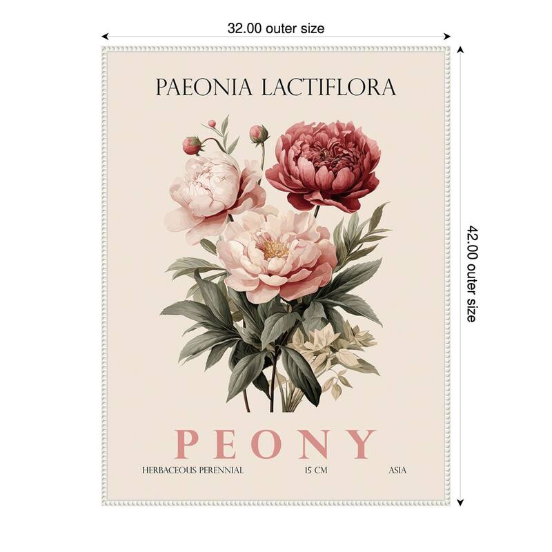 Vintage Botanical Peony Illustration by Christopher Giampietro Framed Canvas Wall Art Print - White - 32 x 42 in
