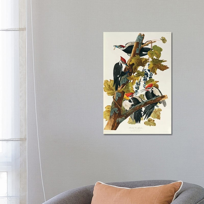 iCanvas "Pileated Woodpecker (Plate 111, Birds Of America)" by John James Audubon Canvas Print - 26x18x1.5
