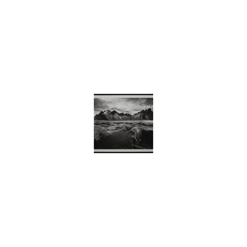Signature Design by Ashley Delstone Black/White Wall Art