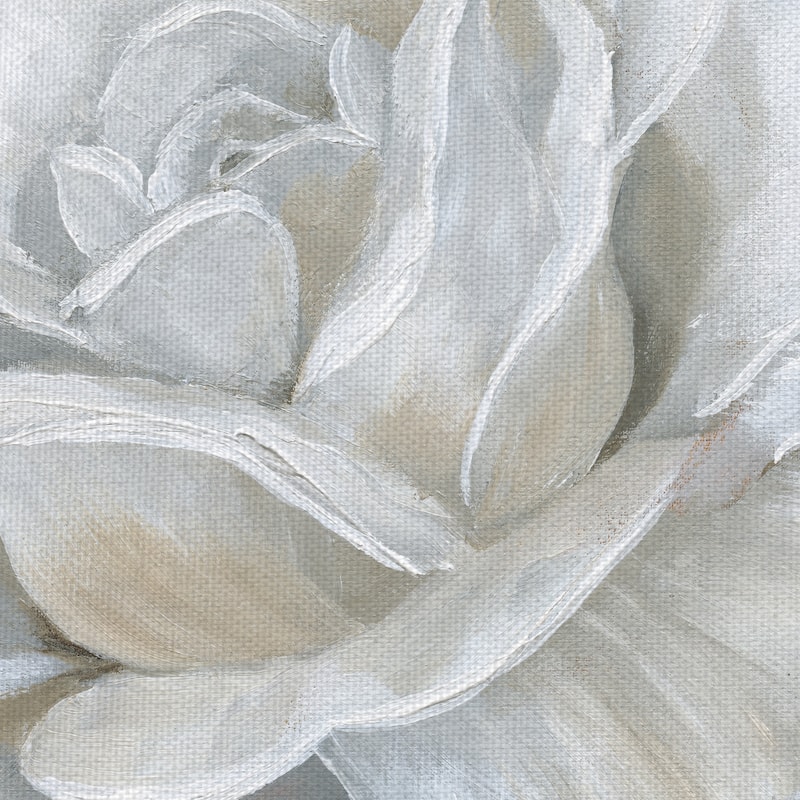 Bombshell Bloom II by Galaxy of Graphics Canvas Art Print