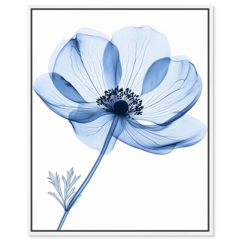 Floral Radiograph Canvas by Art Remedy - White - 24" x 30"
