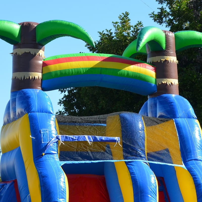 HeroKiddo 15' Ocean Shark Commercial Grade Inflatable Water Slide with Attached Splash Pool (No Blower Included), Outdoor Fun
