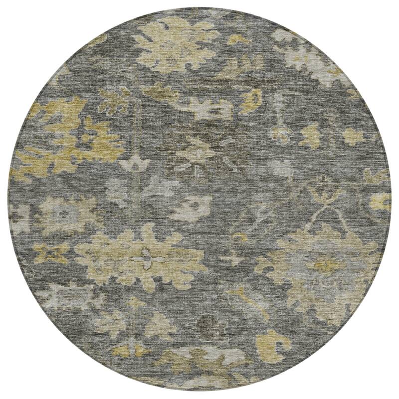 Machine Washable Indoor/ Outdoor Vintage Traditional Chantille Rug