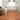 Alameda Solid Color Medallion Machine Washable Indoor Area Rug