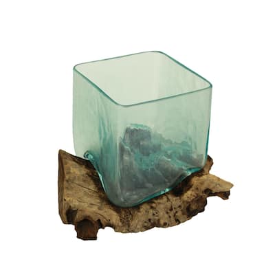 Teak Driftwood Glass Square Vase/Bowl - 8" High - Nature-Inspired